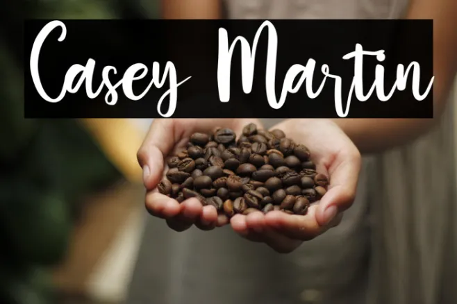 Casey Martin Example 2