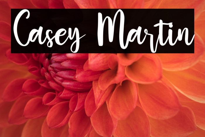 Casey Martin Example 3