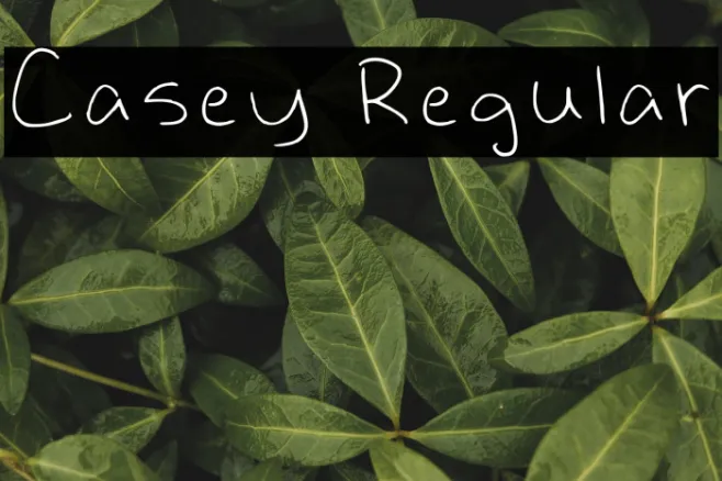 Casey Regular Example 1