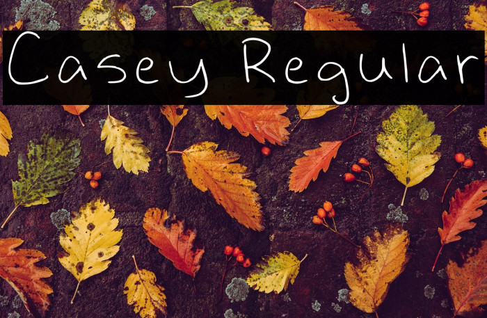 Casey Regular Example 2