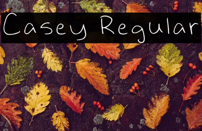 Casey Regular Example 2