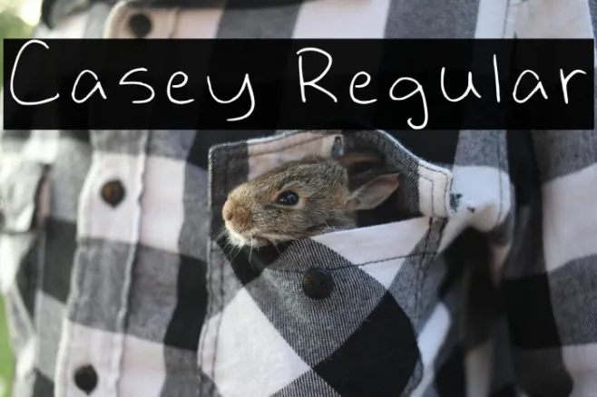 Casey Regular Example 3