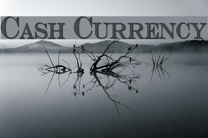 Cash Currency Font examples