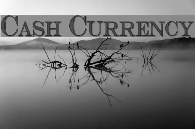 Cash Currency Font examples