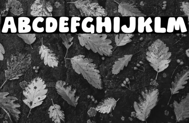 Cash Paper Schriftart examples