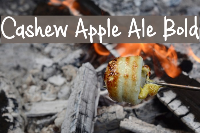 Cashew Apple Ale Bold Font examples