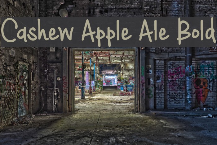 Cashew Apple Ale Bold Font examples