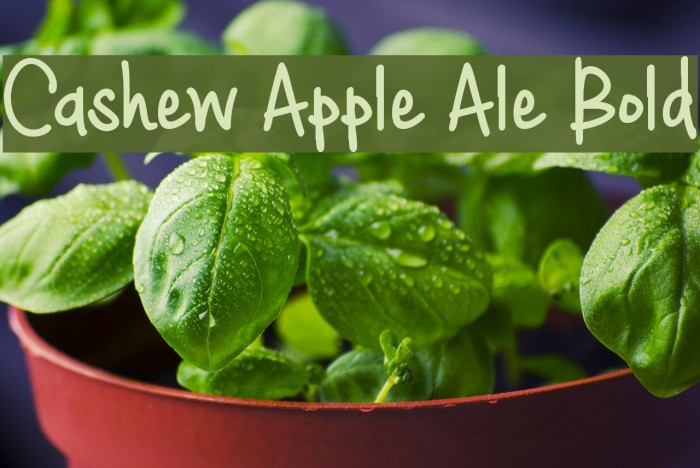 Cashew Apple Ale Bold Font examples