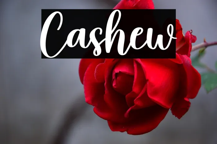 Cashew Example 1