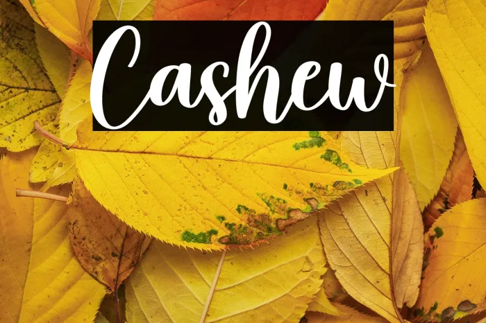Cashew Example 2