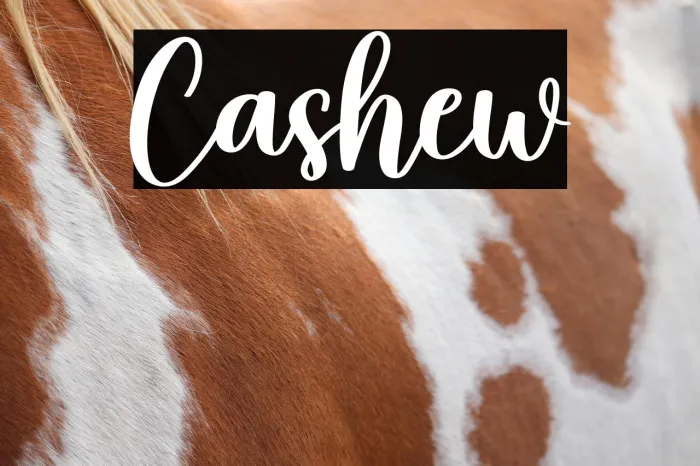 Cashew Example 3