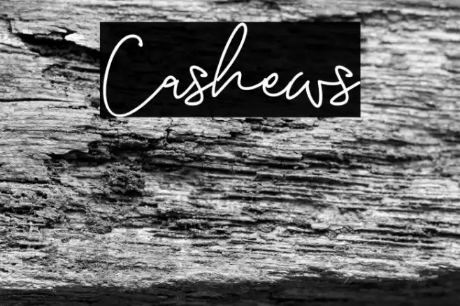 Cashews Font examples
