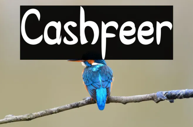 Cashfeer Example 1