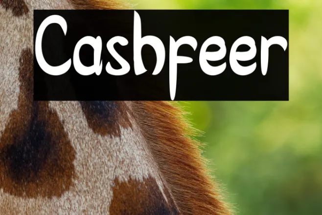 Cashfeer Example 3
