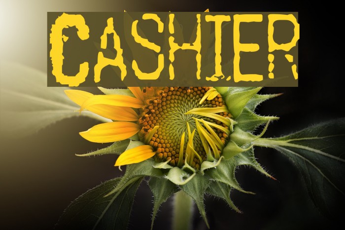 Cashier Font examples