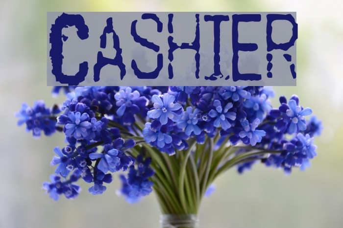 Cashier Font examples
