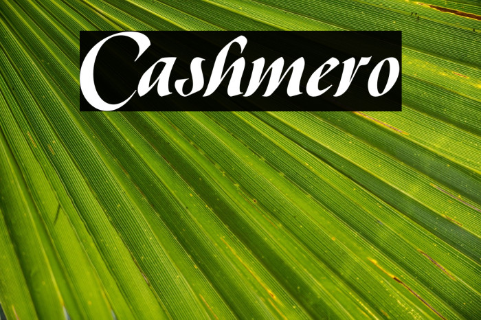 Cashmero Example 3
