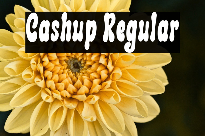 Cashup Regular Example 2