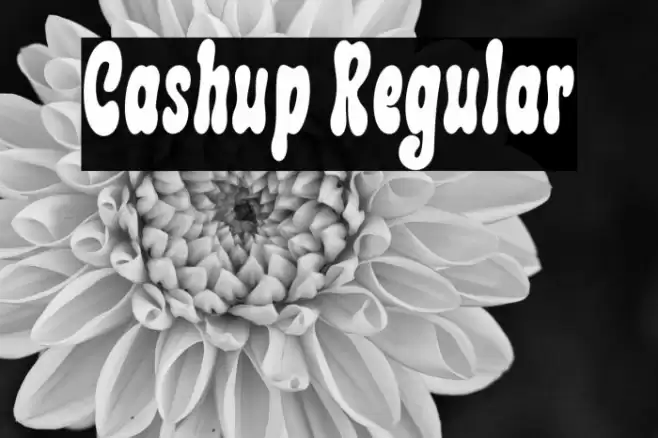 Cashup Regular Font examples