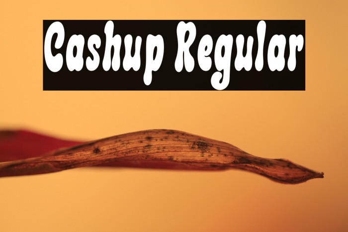 Cashup Regular Example 3