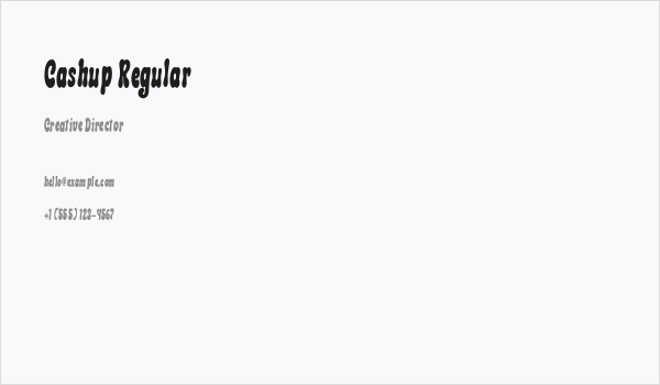 Cashup Regular Business Card