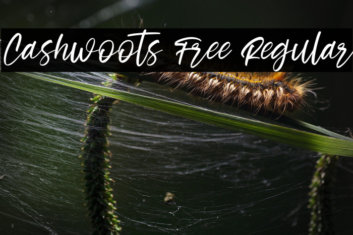 Cashwoots Free Regular Example 2