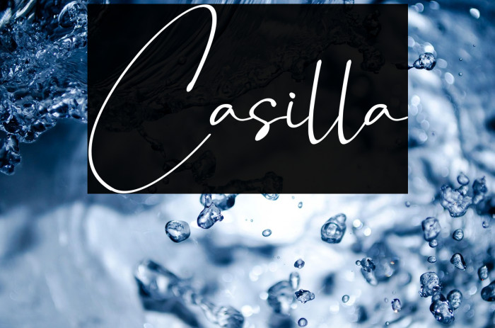 Casilla Example 1