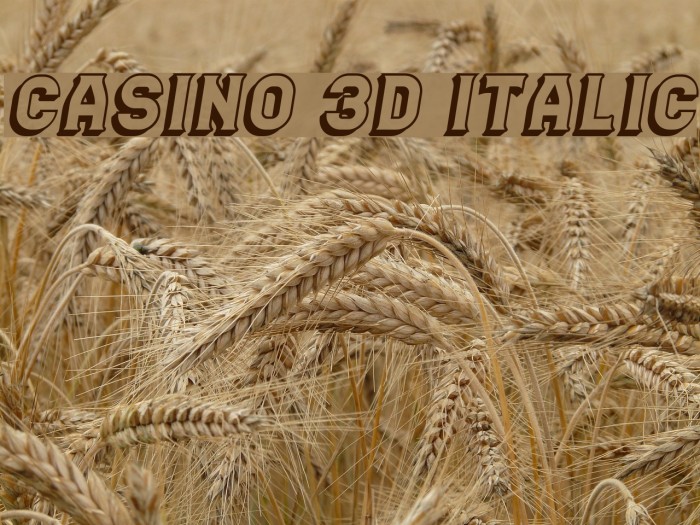 Casino 3D Italic Example 2