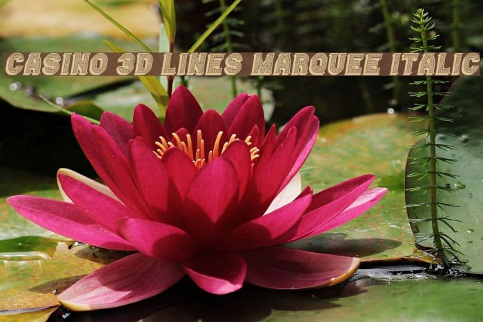 Casino 3D Lines Marquee Italic Example 1
