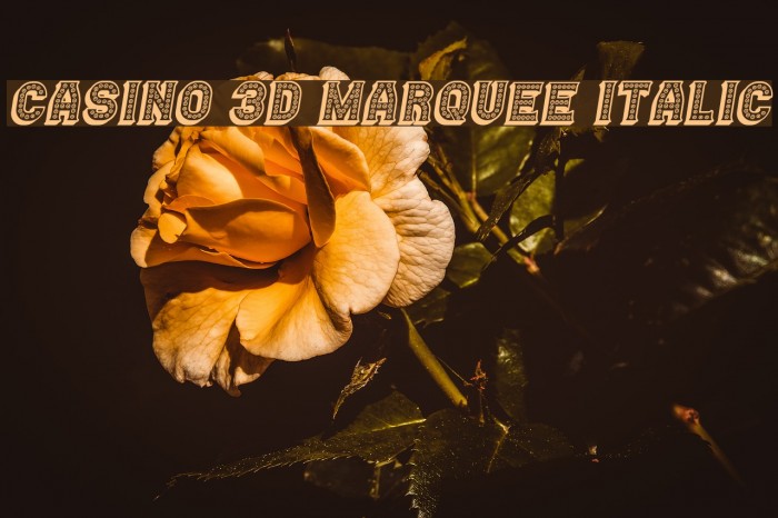 Casino 3D Marquee Italic Example 3