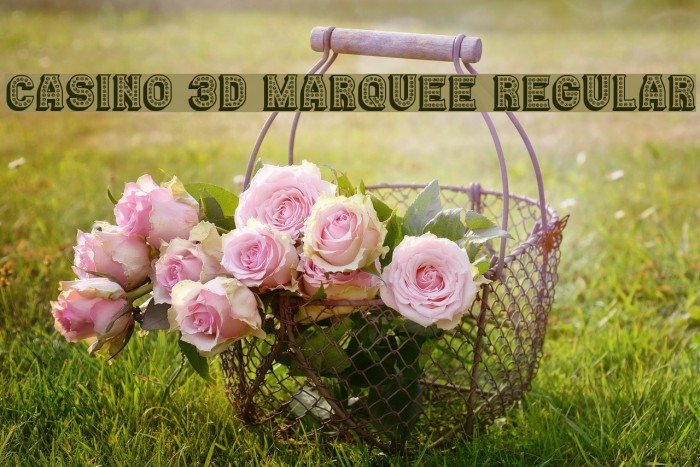 Casino 3D Marquee Regular Font examples