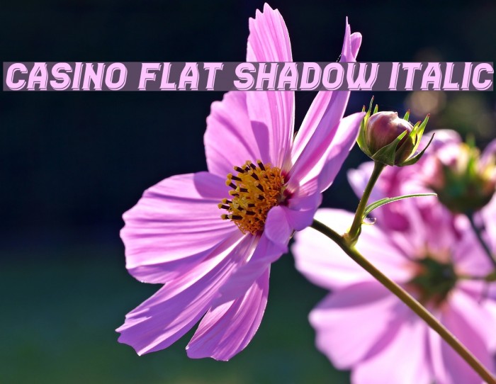 Casino Flat Shadow Italic Example 2