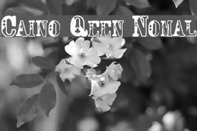 Casino Queen Normal Font examples