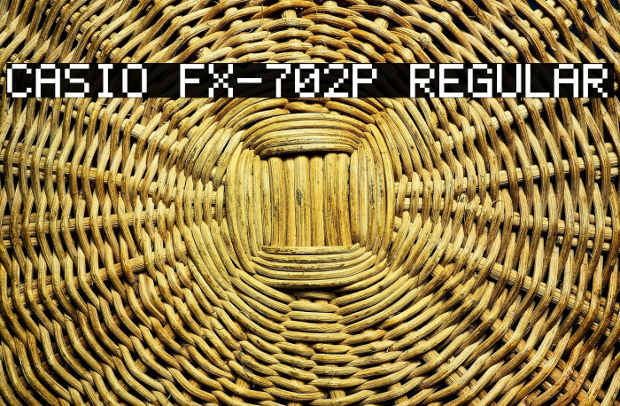 Casio FX-702P Regular Example 1
