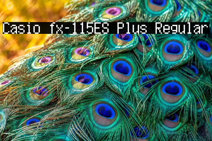 Casio fx-115ES Plus Regular Example 1