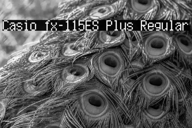Casio fx-115ES Plus Regular Fonte examples