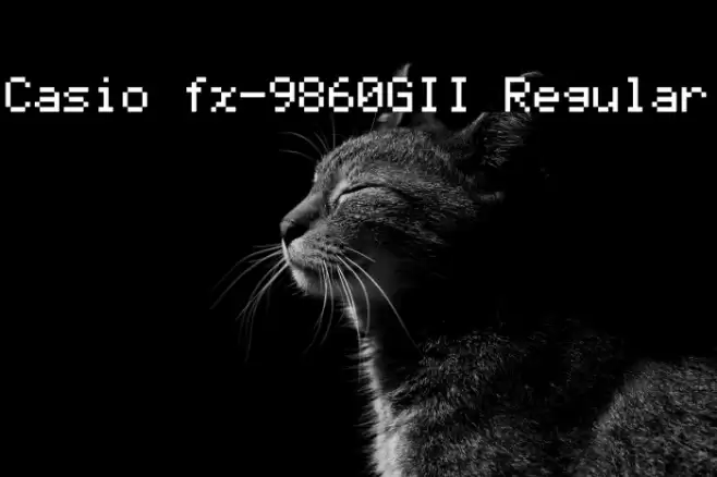 Casio fx-9860GII Regular Font examples