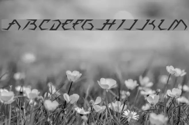 Casiopeia Font examples