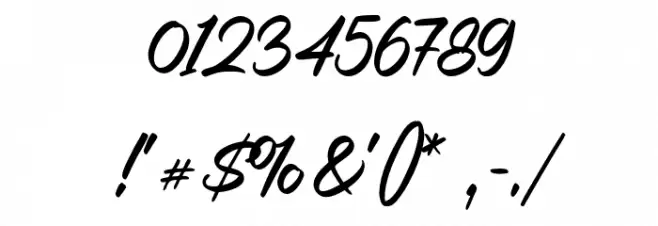 Casira Script Regular Font OTHER CHARS