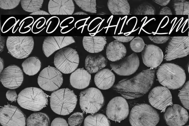 Casira Script Regular Font examples