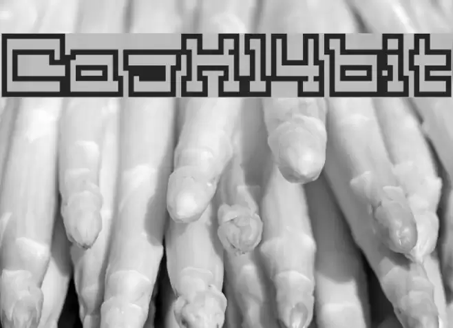 Cask14bit Font examples