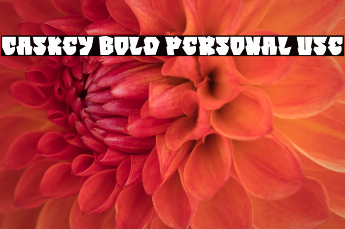 Caskey Bold Personal Use Example 2