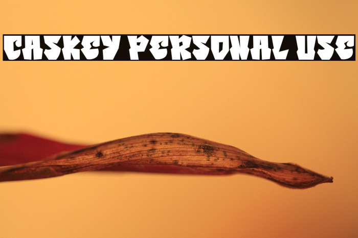 Caskey Personal Use Example 1