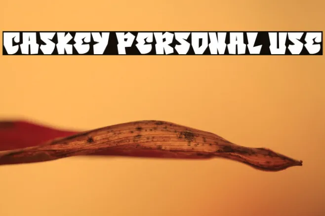 Caskey Personal Use Example 1
