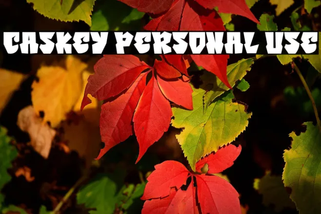 Caskey Personal Use Example 3