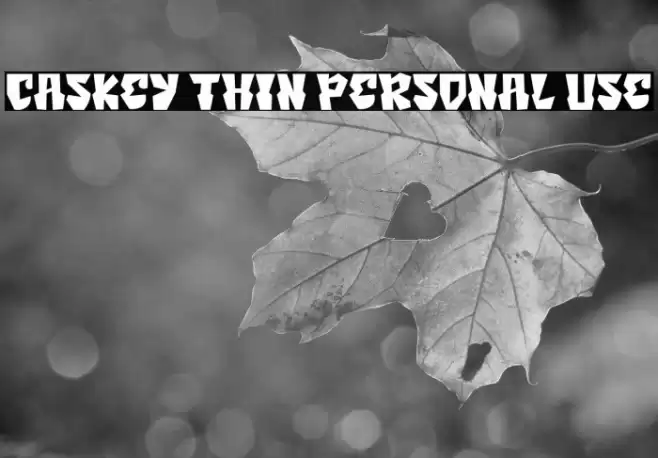 Caskey Thin Personal Use Font examples