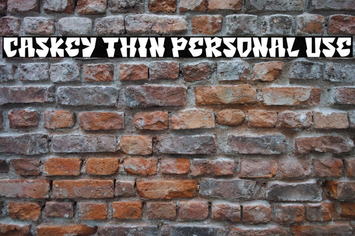 Caskey Thin Personal Use Example 3