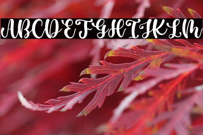 Casking Cream Script Example 1