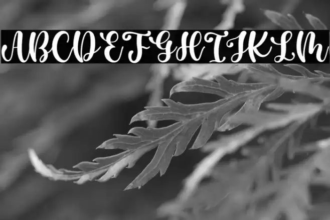 Casking Cream Script Font examples