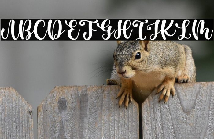 Casking Cream Script Example 3